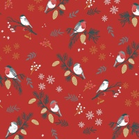 Jersey stof Xmas Birds Time - Katia