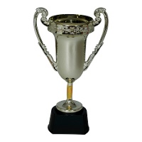 Kampioenstrofee van 20 cm