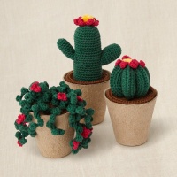 Haakkit met geschenkdoos - Cactuscollectie - DMC