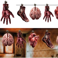 Guirlande van menselijke organen van 3,00 m