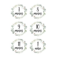 Rijstpapier voor maandelijkse verjaardagen van 7 tot 12 maanden, 29,7 x 42,5 cm - Artis decor - 1 stuk