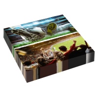 Voetbal servetten Kick It van 16,5 cm - 16 eenheden
