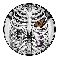 Skeletborden met bugs van 23 cm - 6 stuks