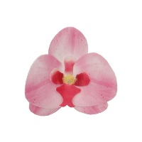 Orchideeën Bloem Wafers 8,5 x 7,5 cm - FunCakes - 10 stuks
