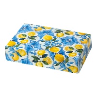 Doos van 23,5 x 16 x 5 cm met blauwe citroenen