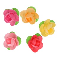 Gekleurde camelia bloemwafels van 4 cm - FunCakes - 5 stuks