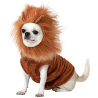 Leeuw verkleedkostuum voor hond