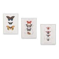 Vlinderschilderijen 30 x 40 cm - 3 stuks