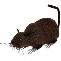 Bruine rat van 15 cm