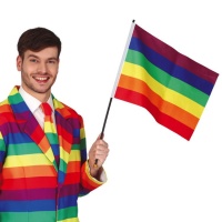 Vlag met regenboogstok 35 x 45 cm