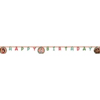 Guirlanda van Happy Birthday Vaiana - 2,00 m