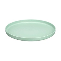 Plaat van 25 cm vlak herbruikbaar - 1 eenheid