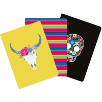 Notitieboekjes met ruiten, blanco en gelinieerd Viva la vida - 3 stuks