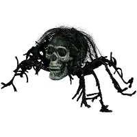 Spin skull van 38 cm