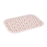 Dienblad van 40 x 28,5 cm met lentebloemen