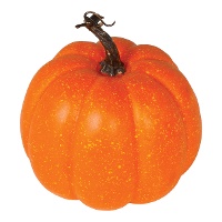 Klassieke oranje pompoen van 18 cm