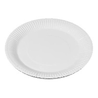 Witte kartonnen borden - 25 stuks van 23 cm