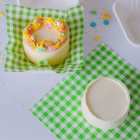Vetvrij papier met groene ruitjes 25 x 25 cm - 50 stuks