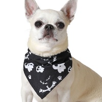 Halloween Schedelsjaal voor Huisdieren