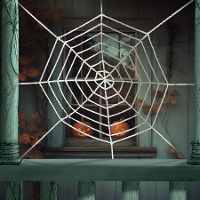 Cirkelvormig spinnenweb van 2,10 m