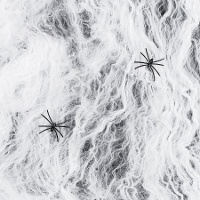 Witte spinnenweb met twee zwarte spinnen van 200 gram