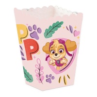 Hoge Paw Patrol doos - 12 eenheden