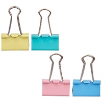 Grote pastelkleurige klemclips - 4 stuks