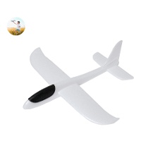 Witte aerodynamische vliegtuig