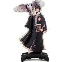 Harry Potter-ballon met Hedwig van 1,45 x 0,90 m