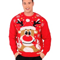 Kersttrui met rendier voor heren