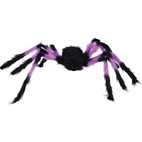 Zwarte en gekleurde harige spin van 75 cm