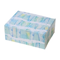 Doos voor ijssnoepjes van 18 x 13,5 x 7,5 cm