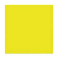 Neonkleurige servetten van 16,5 x 16,5 cm - 12 stuks