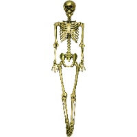 Gemetaliseerd skelet van 90 cm - 1 stuk