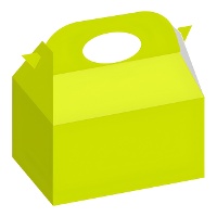 Kartonnen doos van 16 x 10,5 x 16 cm - 10 stuks