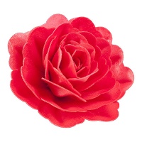 Rozensuikertje van 12,5 cm - Dekora - 1 eenheid