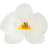Orchideeën waferbloemen van 8,5 x 7,5 cm - Dekora - 10 stuks