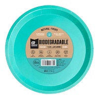 Kleurrijke kartonnen borden - 10 stuks van 20,5 cm